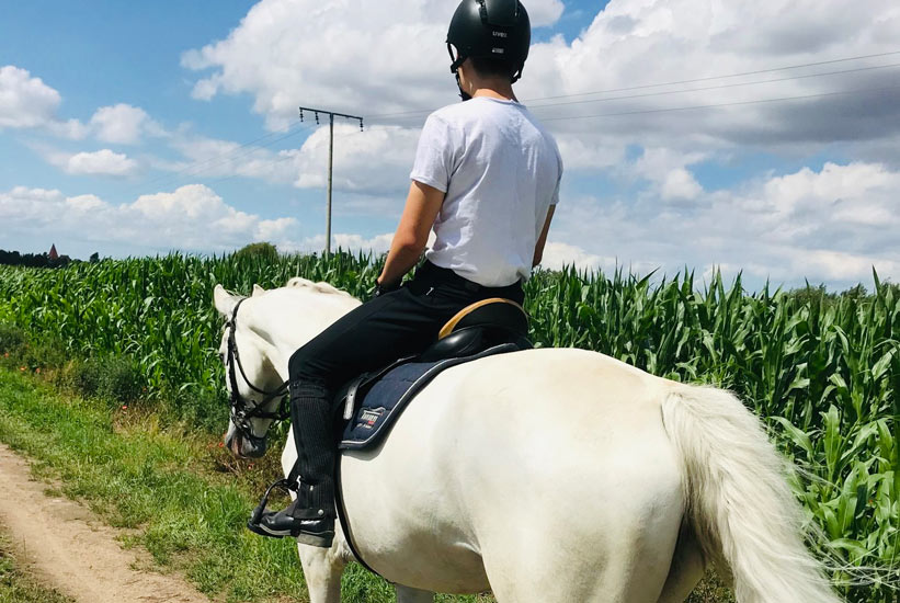 Reiter auf weißem Pferd